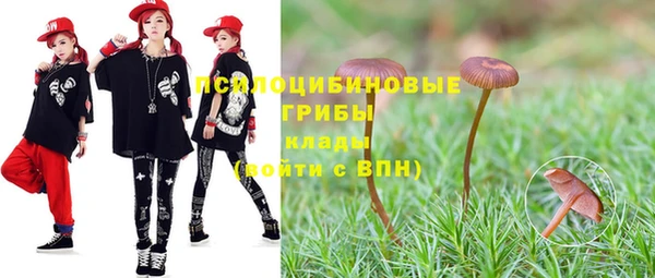 mdpv Бугульма